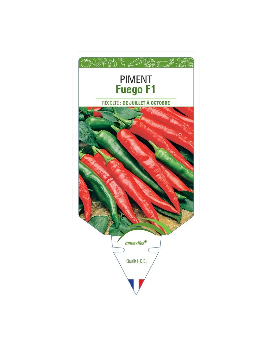 PIMENT FUEGO F1