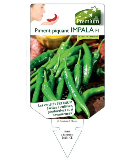 PIMENT PIQUANT IMPALA F1