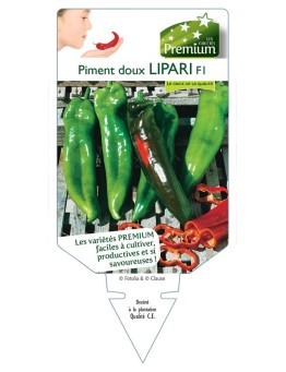 PIMENT DOUX LIPARI F1