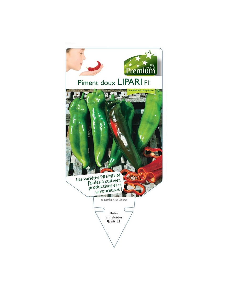 PIMENT DOUX LIPARI F1