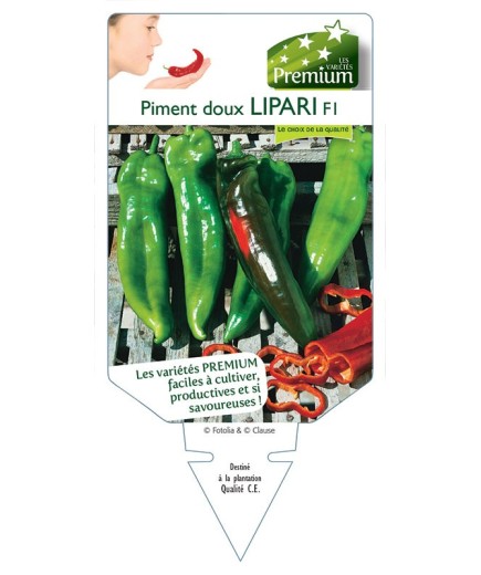 PIMENT DOUX LIPARI F1