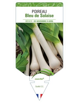 POIREAU BLEU DE SOLAIZE