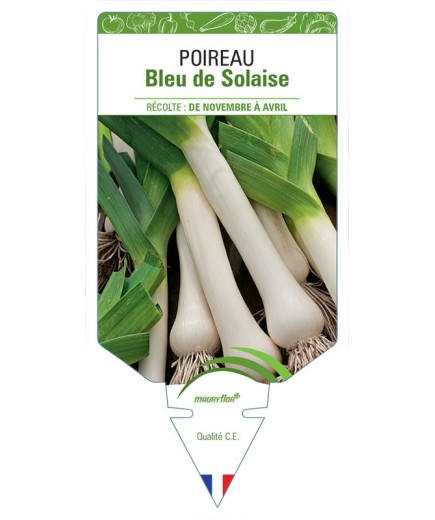 POIREAU BLEU DE SOLAIZE