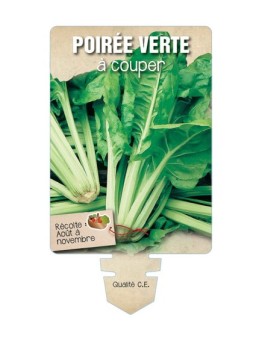 POIRÉE VERTE À COUPER *