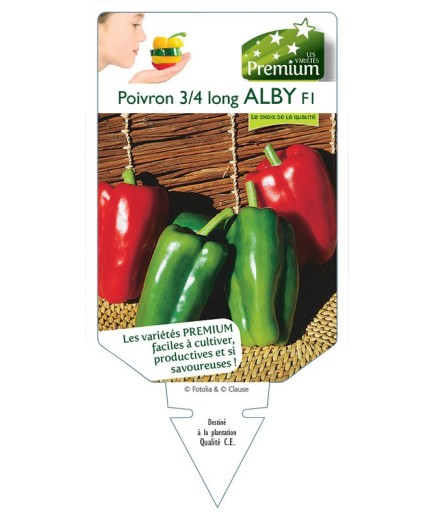 POIVRON 3/4 LONG ALBY F1