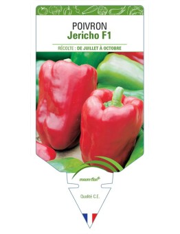 POIVRON JERICHO F1