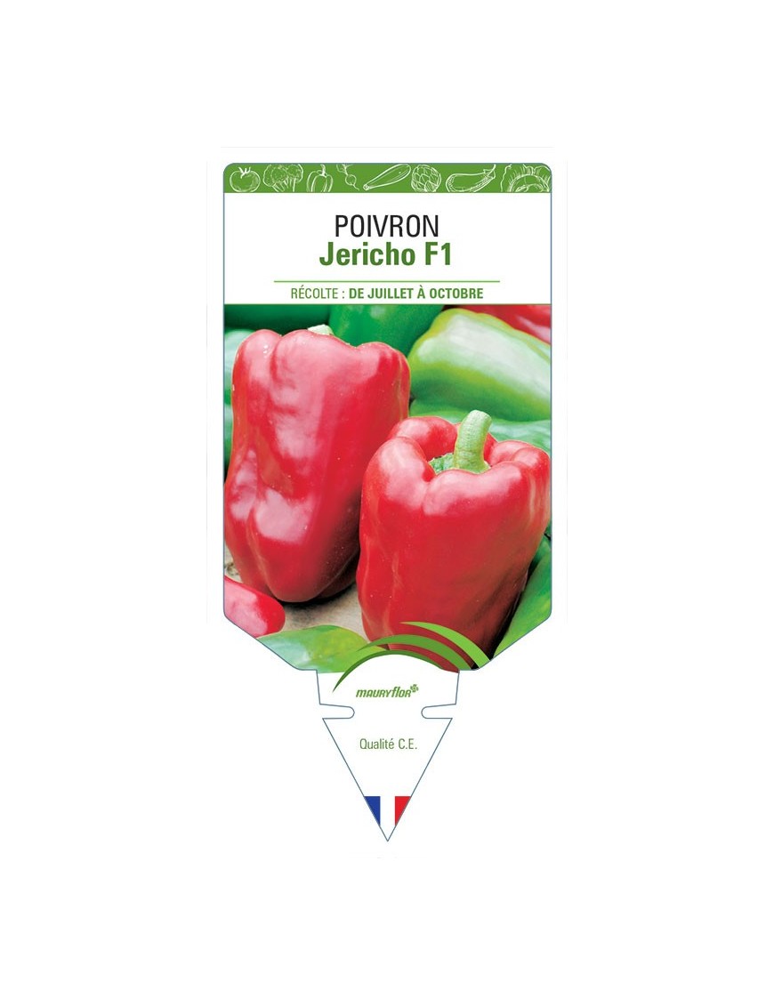 POIVRON JERICHO F1