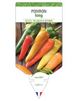 POIVRON LONG (jaune, rouge, vert) *