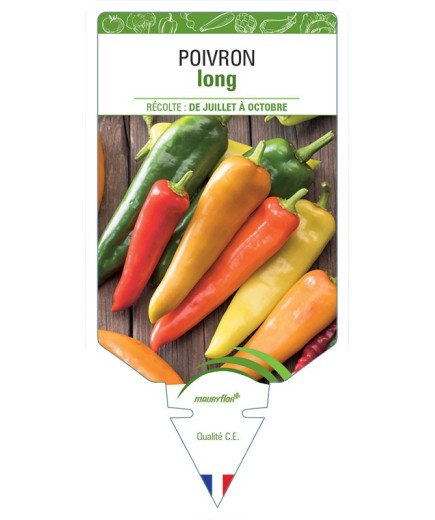 POIVRON LONG (jaune, rouge, vert) *