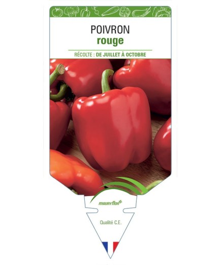 POIVRON ROUGE