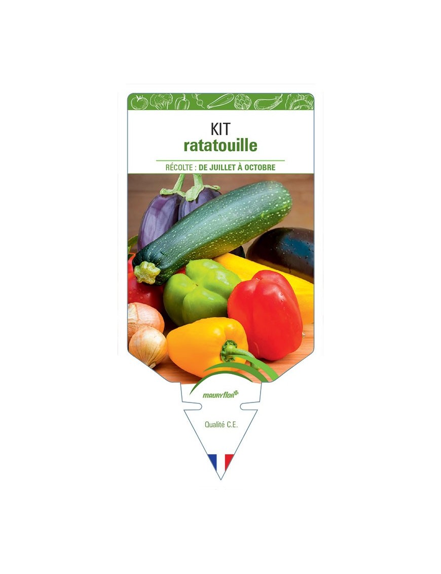 KIT RATATOUILLE (aubergine, courgette, poivron…) *