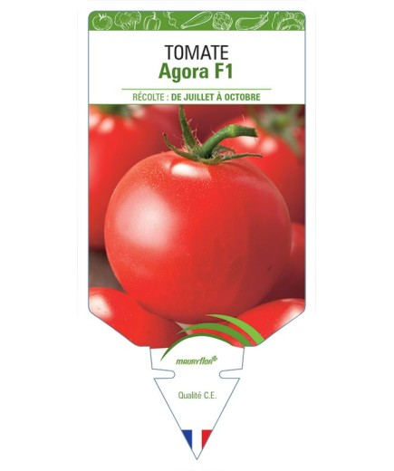 TOMATE AGORA F1