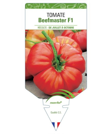 TOMATE BEEFMASTER F1