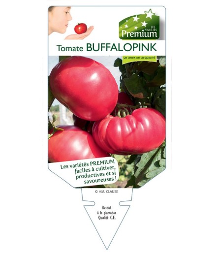 TOMATE BUFFALOPINK