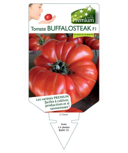 TOMATE BUFFALOSTEAK F1 *