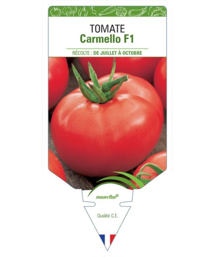 TOMATE CARMELLO F1