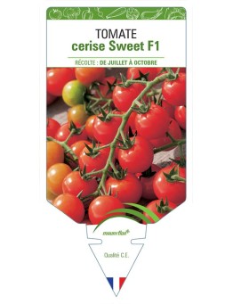 TOMATE CERISE SWEET F1