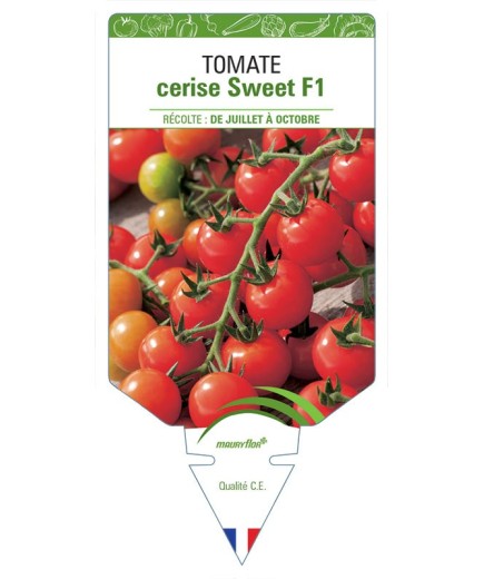 TOMATE CERISE SWEET F1