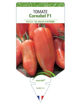 TOMATE CORNABEL F1