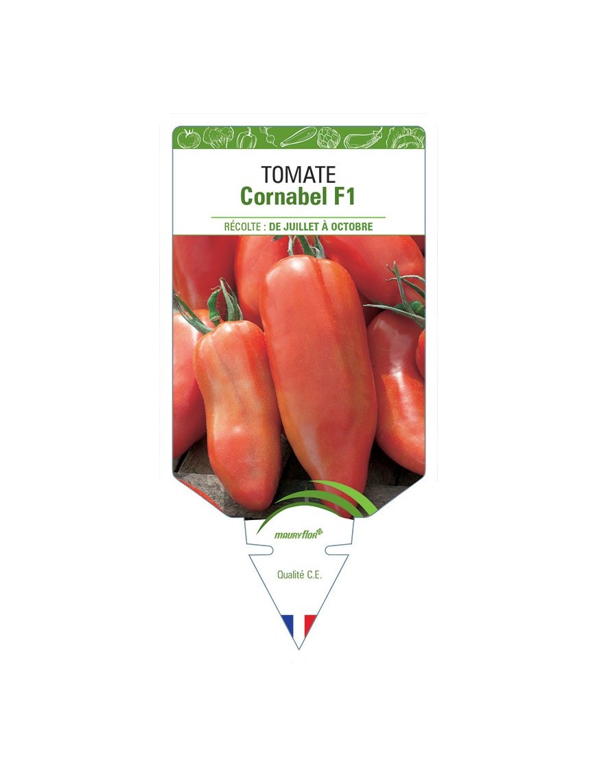 TOMATE CORNABEL F1