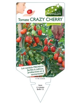 TOMATE CRAZY CHERRY