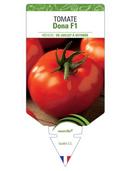 TOMATE DONA F1
