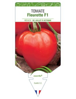 TOMATE FLEURETTE F1