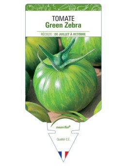TOMATE GREEN ZEBRA
