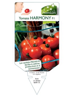 TOMATE HARMONY F1
