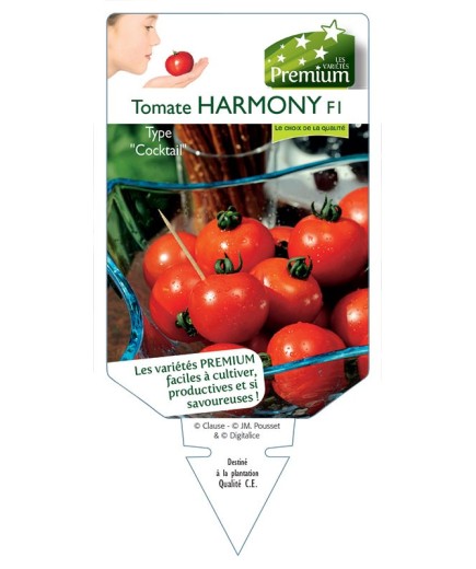 TOMATE HARMONY F1