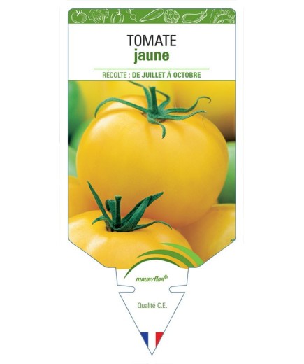 TOMATE JAUNE