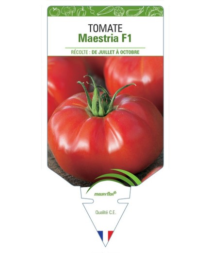 TOMATE MAESTRIA F1