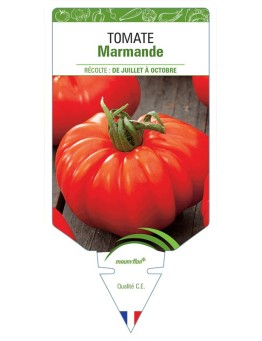 TOMATE MARMANDE