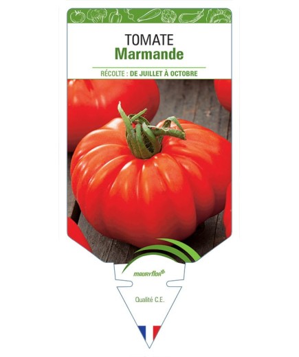 TOMATE MARMANDE