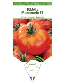 TOMATE MONTECARLO F1