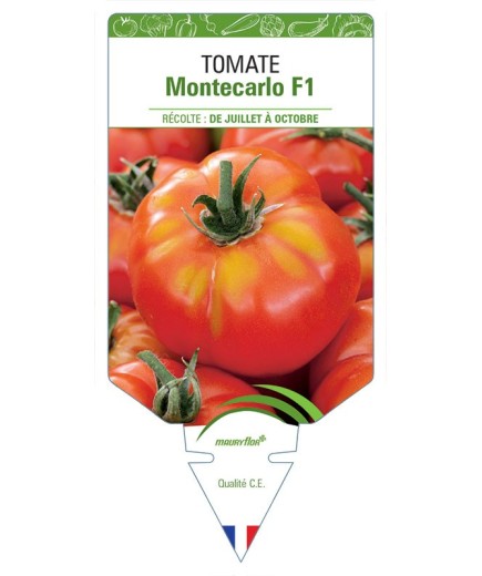 TOMATE MONTECARLO F1