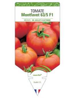 TOMATE MONTFAVET 63/5 F1