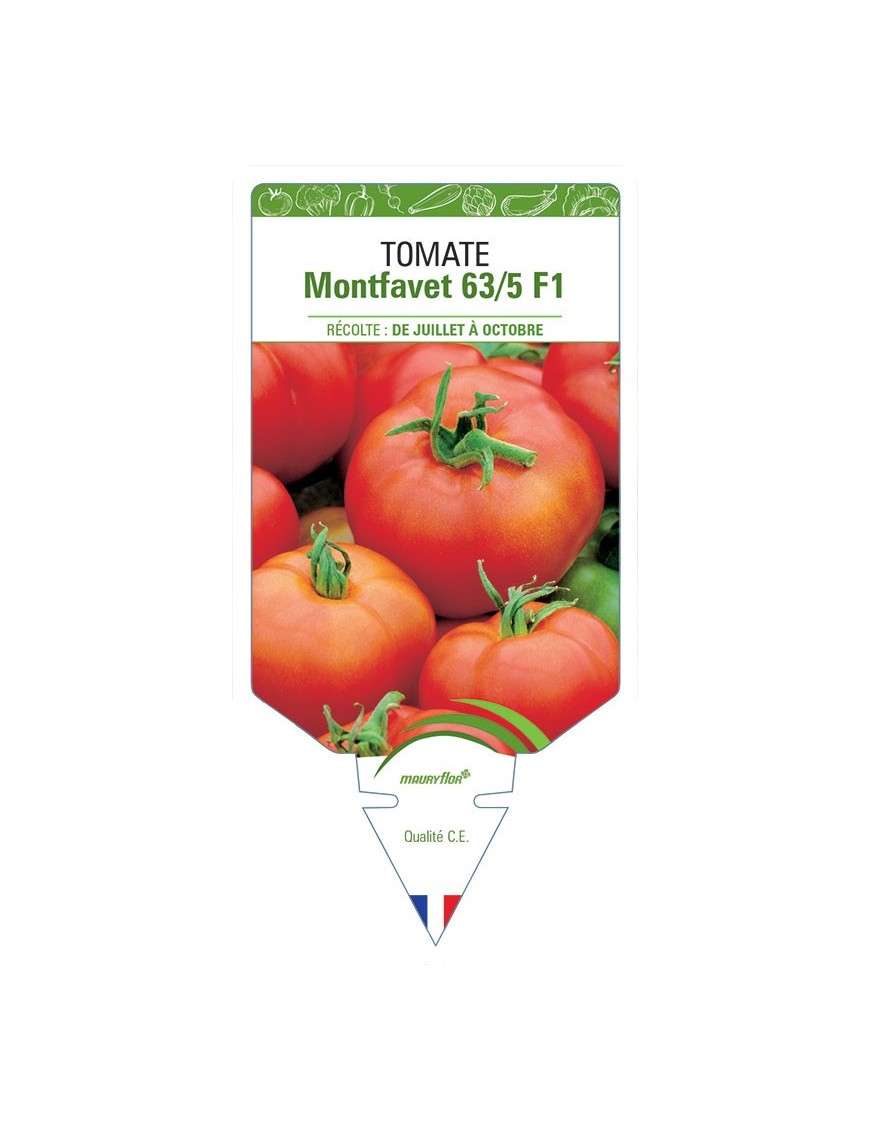 TOMATE MONTFAVET 63/5 F1