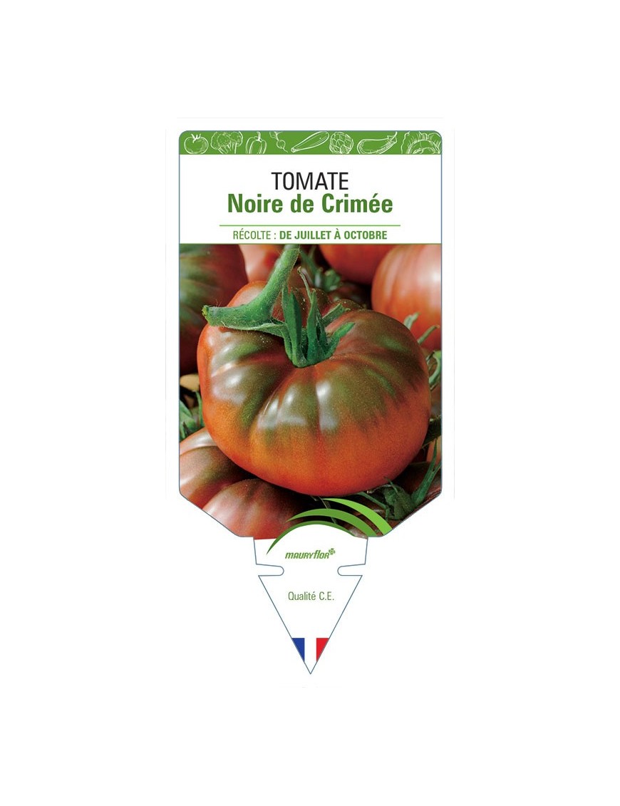 TOMATE NOIRE DE CRIMÉE