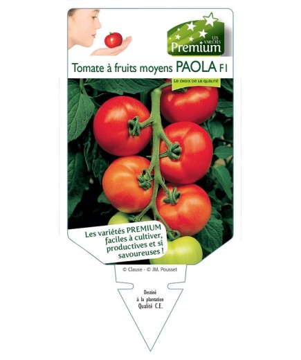 TOMATE à fruits moyens PAOLA F1