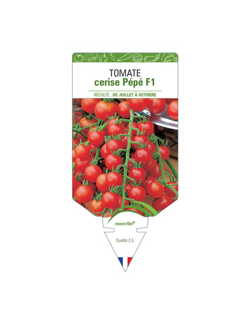 TOMATE CERISE PÉPÉ F1
