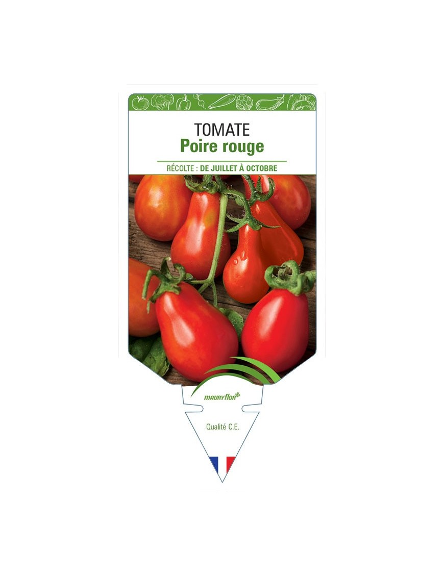 TOMATE POIRE ROUGE