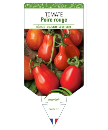 TOMATE POIRE ROUGE