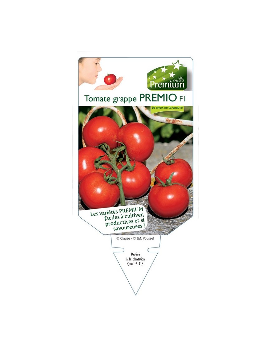 TOMATE GRAPPE PREMIO F1