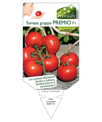 TOMATE GRAPPE PREMIO F1