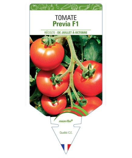 TOMATE PREVIA F1