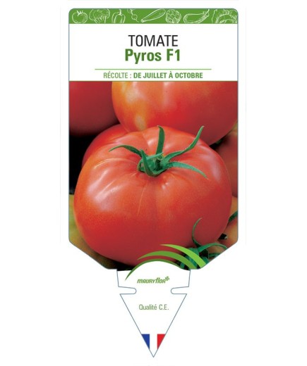 TOMATE PYROS F1