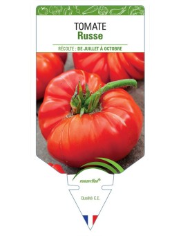 TOMATE RUSSE