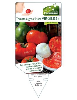 TOMATE à gros fruits VIRGILIO F1 *
