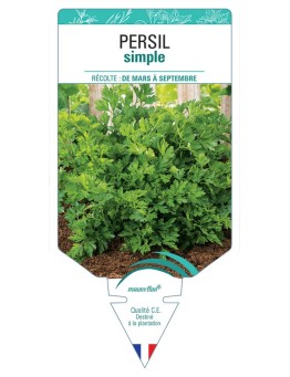 PERSIL SIMPLE